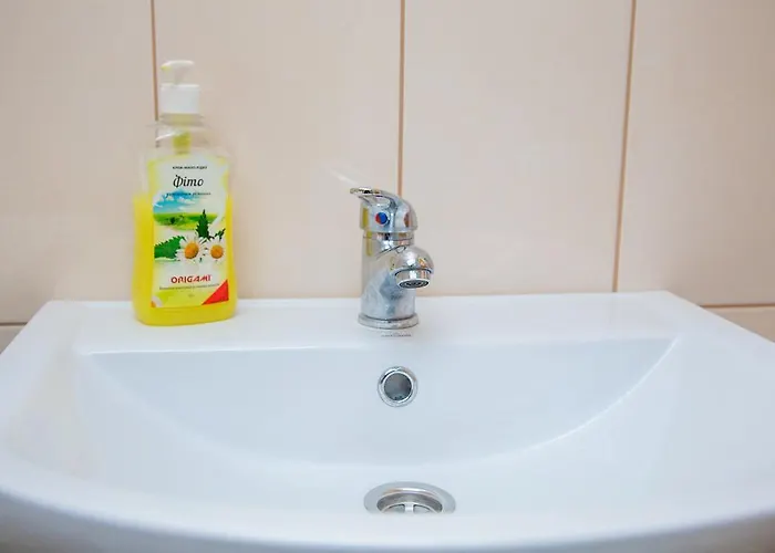 Hostel Lions Heart *