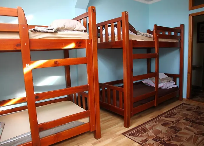 Hostel Lions Heart Lvov