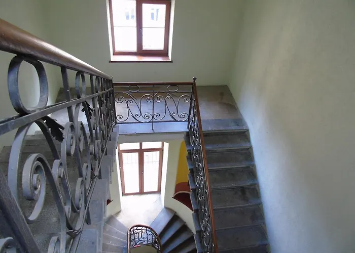 Lions Heart Leópolis